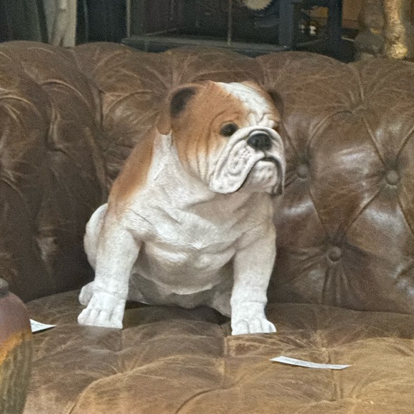 gramercybulldog